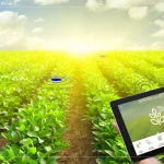 Why Professional Agricultural Web Design Matters for Growing Your Business