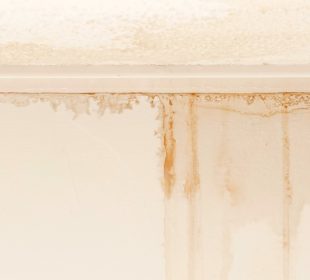 Water damage assessment evidence identifying hidden water damage through visible water staining on an internal wall following flooding or stormwater ingress.