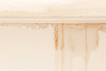 Water damage assessment evidence identifying hidden water damage through visible water staining on an internal wall following flooding or stormwater ingress.